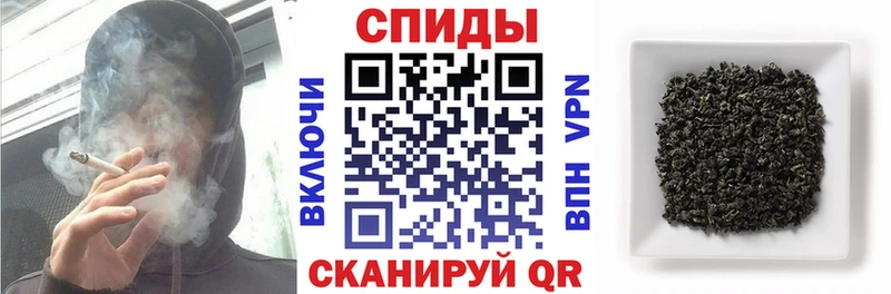 дарнет шоп  Западная Двина  МЕГА ссылка  Бутират вода 